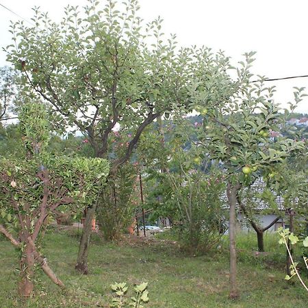 Tutnovo 13 Apartment Rijeka Ngoại thất bức ảnh